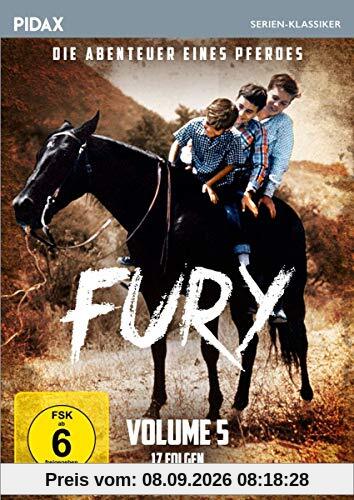 Fury - Die Abenteuer eines Pferdes, Vol. 5 / Weitere 17 Folgen der Kultserie (Pidax Serien-Klassiker)