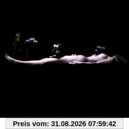 Invisible Front. 2005