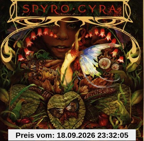 Spyro Gyra Morning Dance