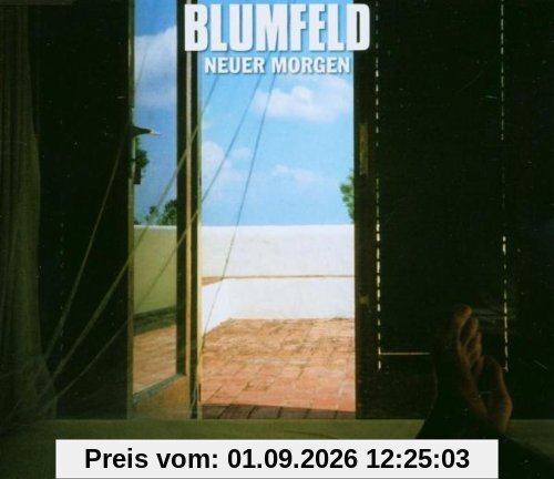 Neuer Morgen