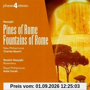 Pinien V.Rom/Brunnen
