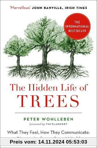 The Hidden Life of Trees: What They Feel, How They Communicate