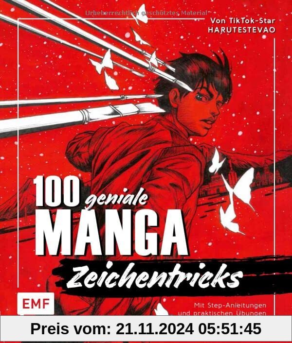 100 geniale Manga-Zeichentricks: Material, Technik, Dynamik und Charakterdesign – Von TikTok-Star Harutestevao – Mit Ste