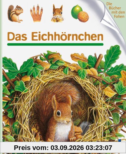 Das Eichhörnchen