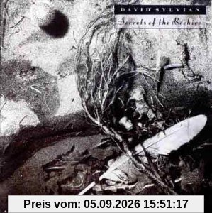 Secrets of the beehive (1987)