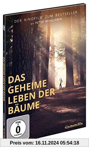 Das geheime Leben der Bäume