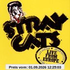 Live in Bonn 29.07.04