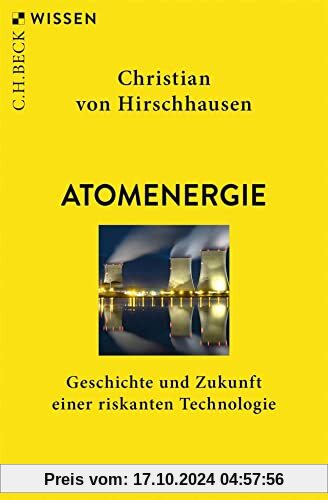 Atomenergie: Geschichte und Zukunft einer riskanten Technologie (Beck'sche Reihe)