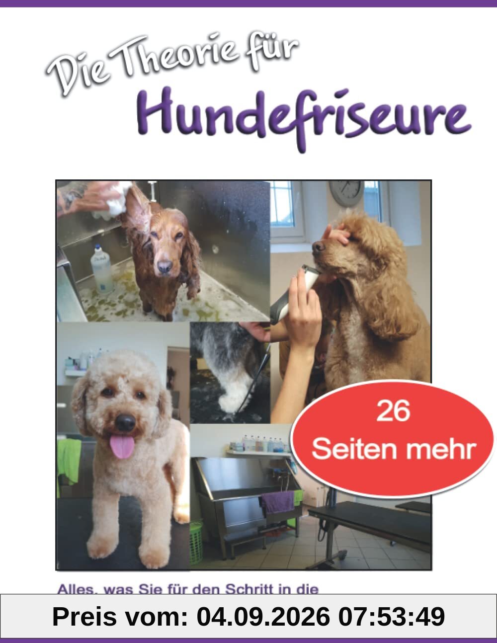 Die Theorie für Hundefriseure: Alles, was Sie für den Schritt in die Selbstständigkeit wissen müssen!