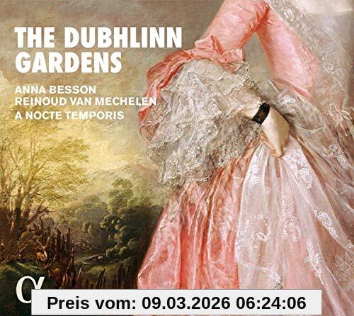 Anna Besson The Dubhlinn Gardens - An Evening In The High Society Of 18th Century Dublin