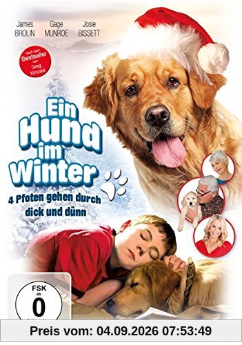 Ein Hund im Winter