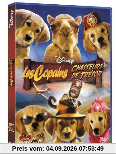 Les copains chasseurs de trésor [FR Import]