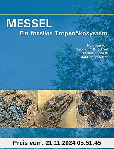 MESSEL - Ein fossiles Tropenökosystem (Senckenberg-Buch)