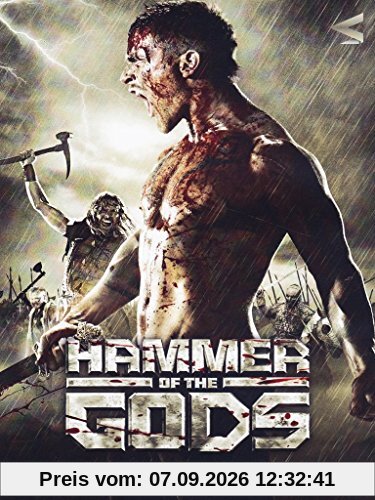 Hammer of the gods [IT Import]