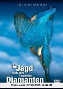 Die Jagd nach dem fliegenden Diamanten - Faszination Eisvogel