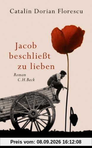 Jacob beschließt zu lieben: Roman