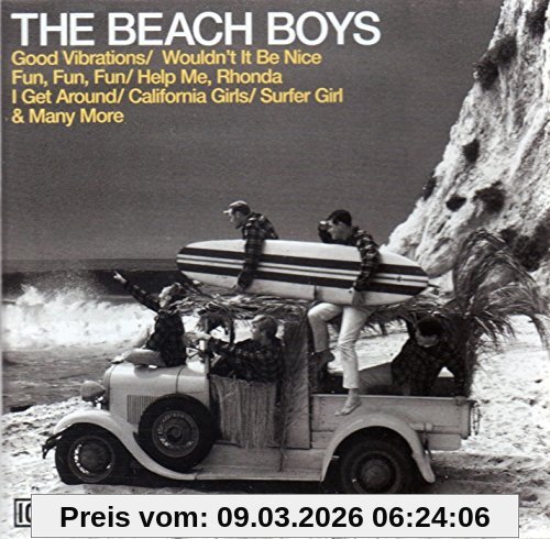 The Beach Boys Icon