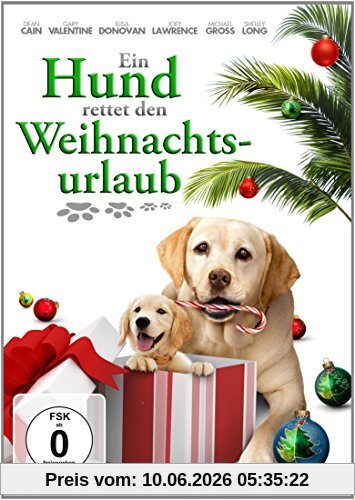 Ein Hund rettet den Weihnachtsurlaub