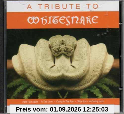 Tribute to Whitesnake