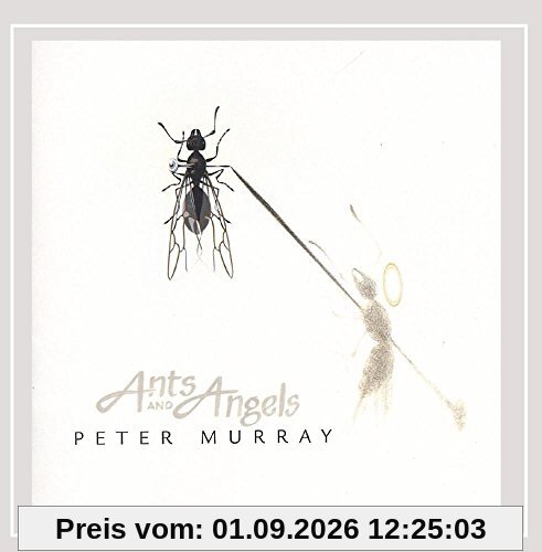 Ants & Angels