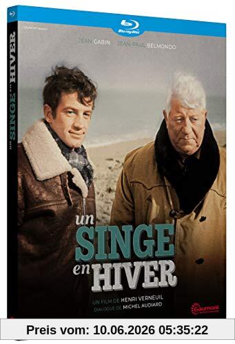 Un singe en hiver [Blu-ray] [FR Import]