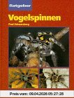 Ratgeber Vogelspinnen. Artgerechte Haltung und Vermehrung
