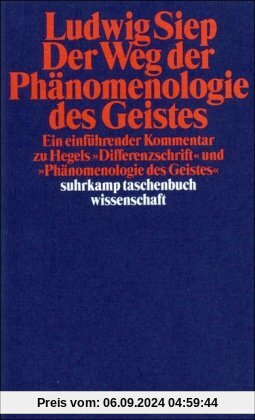 Der Weg der Phänomenologie des Geistes. Ein einführender Kommentar zu Hegels 'Differenzschrift' und 'Phänomenologie des 