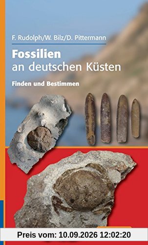 Fossilien an deutschen Küsten: Finden und Bestimmen