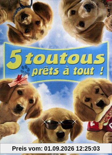 5 toutous prets a tout! [FR Import]