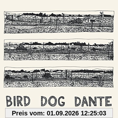 Bird Dog Dante