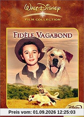 Fidèle vagabon