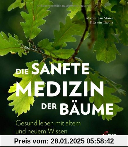 Die sanfte Medizin der Bäume: Gesund leben mit altem und neuem Wissen