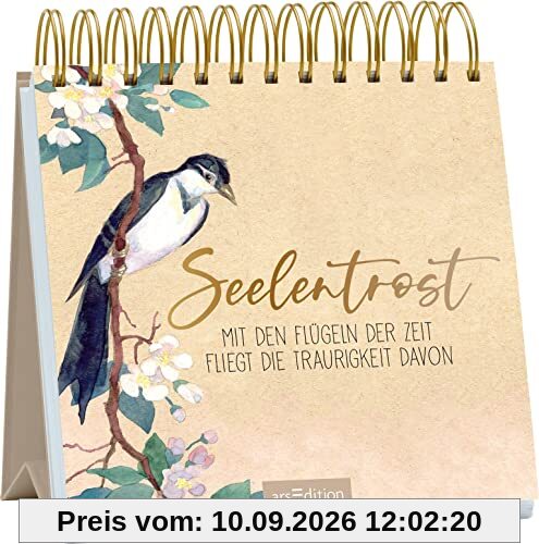Seelentrost: Mit den Flügeln der Zeit fliegt die Traurigkeit davon