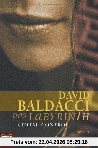 Das Labyrinth (Total Control): Roman