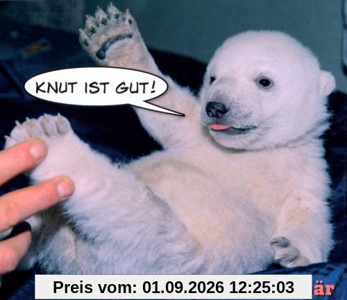 Knut Ist Gut