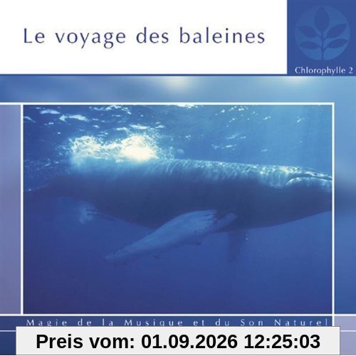 Le Voyage Des Baleines