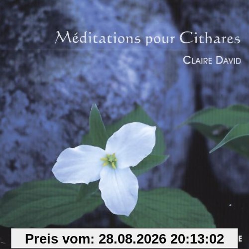 Meditationen für Zither