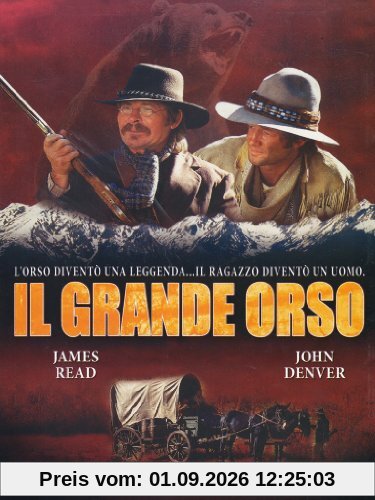 Il grande orso [IT Import]