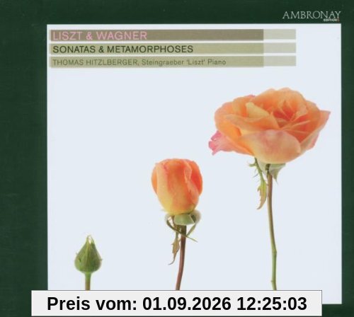 Sonatas & Metamorphoses