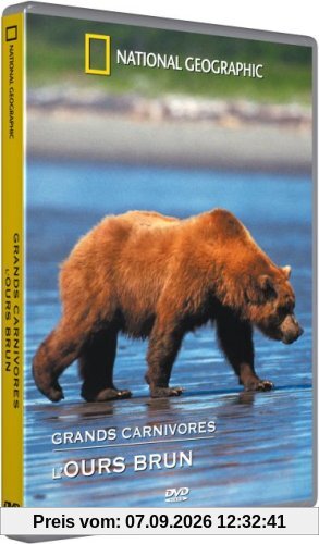 Grands carnivores : l'ours brun [FR Import]