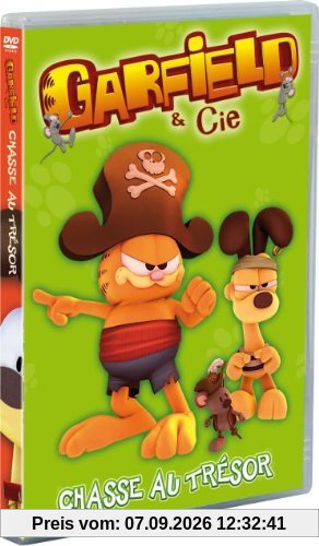 Garfield, vol. 7 : chasse au tresor [FR Import]