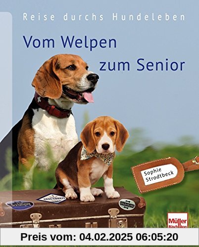 Vom Welpen zum Senior: Reise durchs Hundeleben