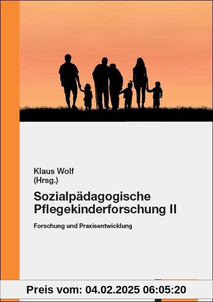 Sozialpädagogische Pflegekinderforschung II: Forschung und Praxisentwicklung