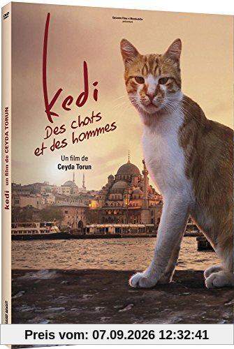 Kedi, des chats et des hommes [FR Import]