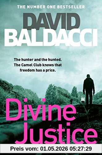 Divine Justice (The Camel Club, Band 4)