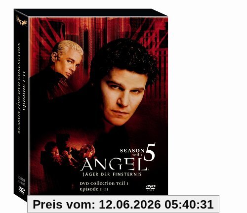 Angel - Jäger der Finsternis: Season 5.1 Collection (3 DVDs im Digipack)