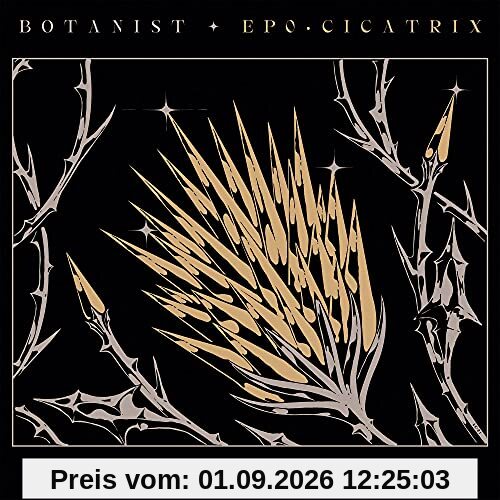 Cicatrix / Diamond Brush (Split with Botanist)