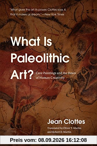 What Is Paleolithic Art?: Cave Paintings and the Dawn of Human Creativity
