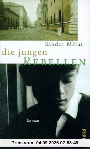 Die jungen Rebellen: Roman