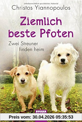 Ziemlich beste Pfoten: Zwei Streuner finden heim (Lübbe Sachbuch)